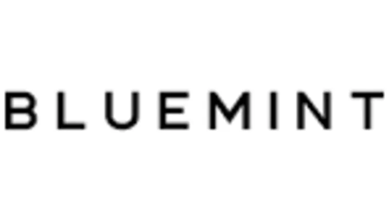 BLUEMINT Logo